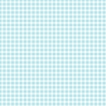 All Minnesota Shop Hop 2026 Gingham 610 BQ Maywood Studio
